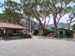 Camping Roma Ventimiglia